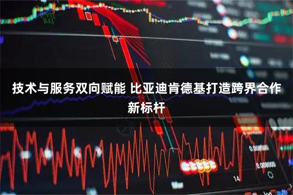 技术与服务双向赋能 比亚迪肯德基打造跨界合作新标杆