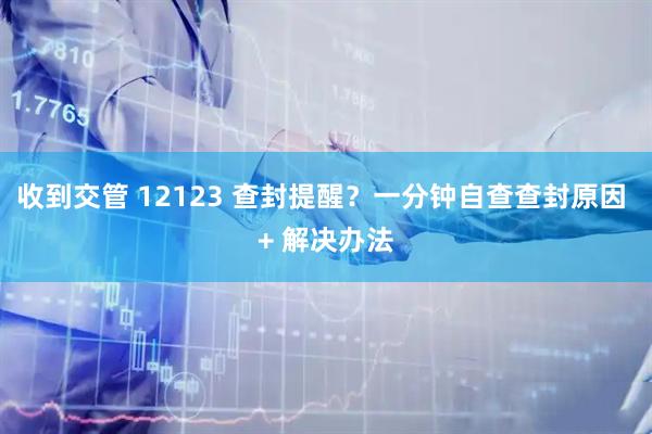 收到交管 12123 查封提醒？一分钟自查查封原因 + 解决办法